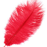O.D Plumes 14-16 Inch Red