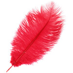 O.D Plumes 14-16 Inch Red