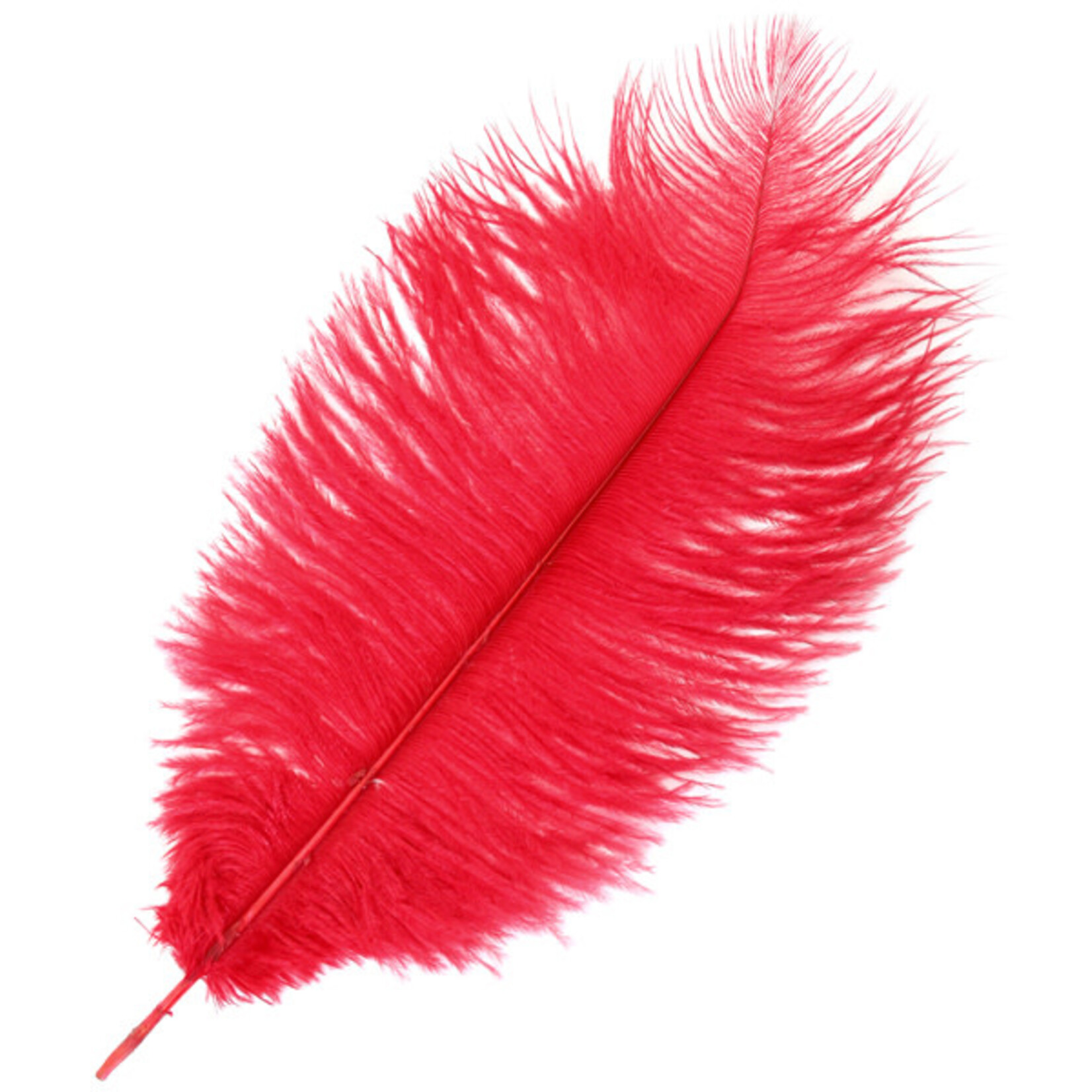 O.D Plumes 14-16 Inch Red