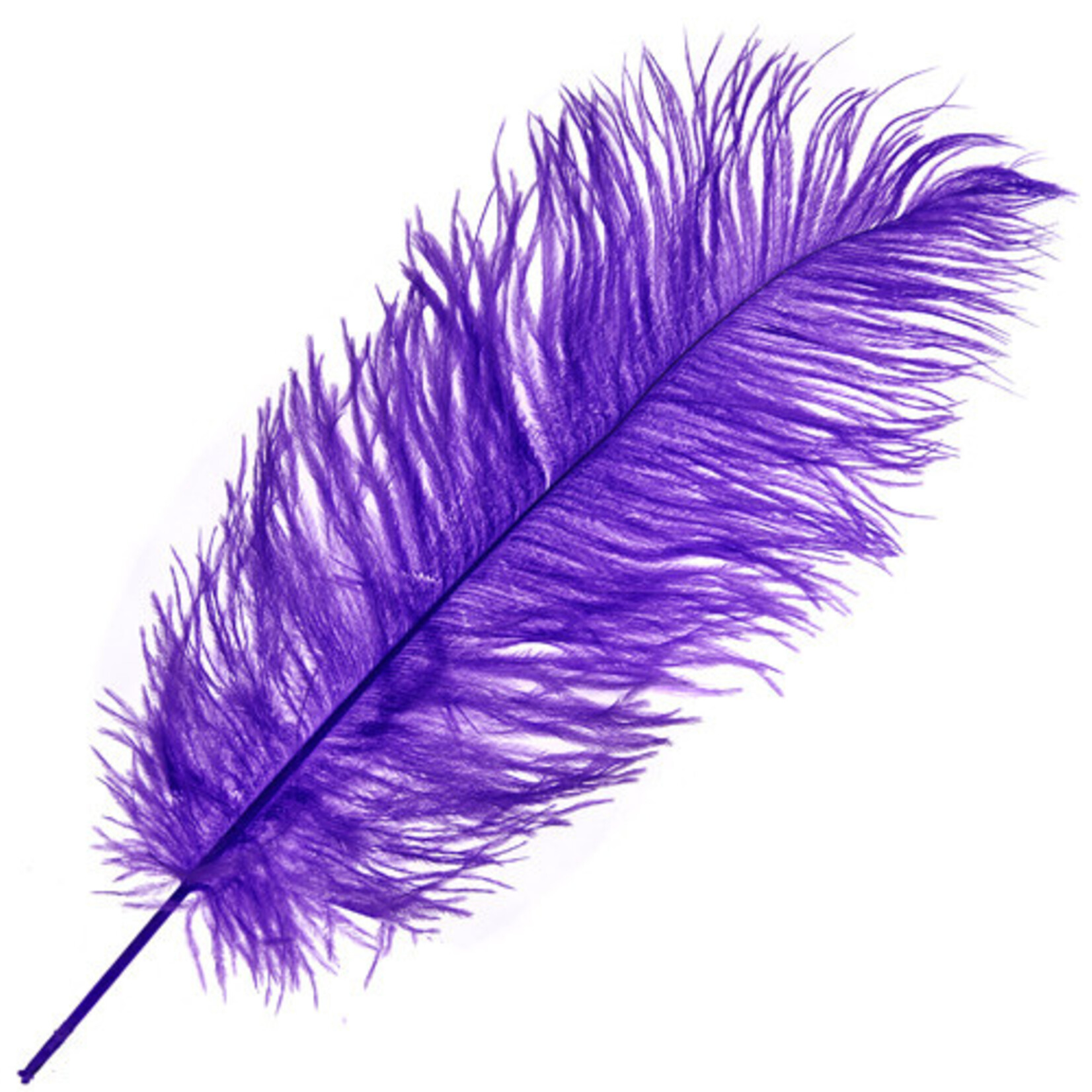 O.D Plumes 14-16 Inch Purple