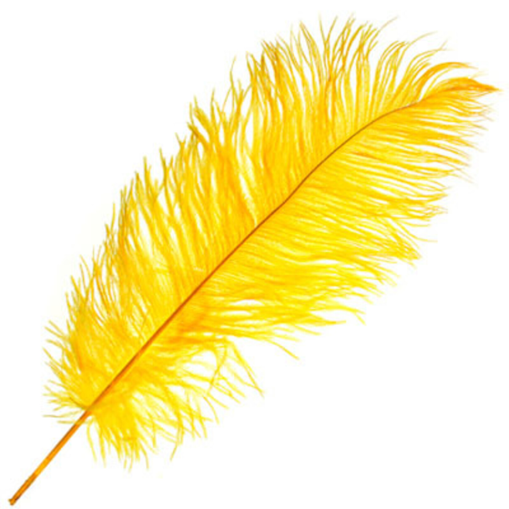 O.D Plumes 14-16 Inch Canary Yellow