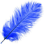 O.D Plumes 14-16 Inch Royal Blue