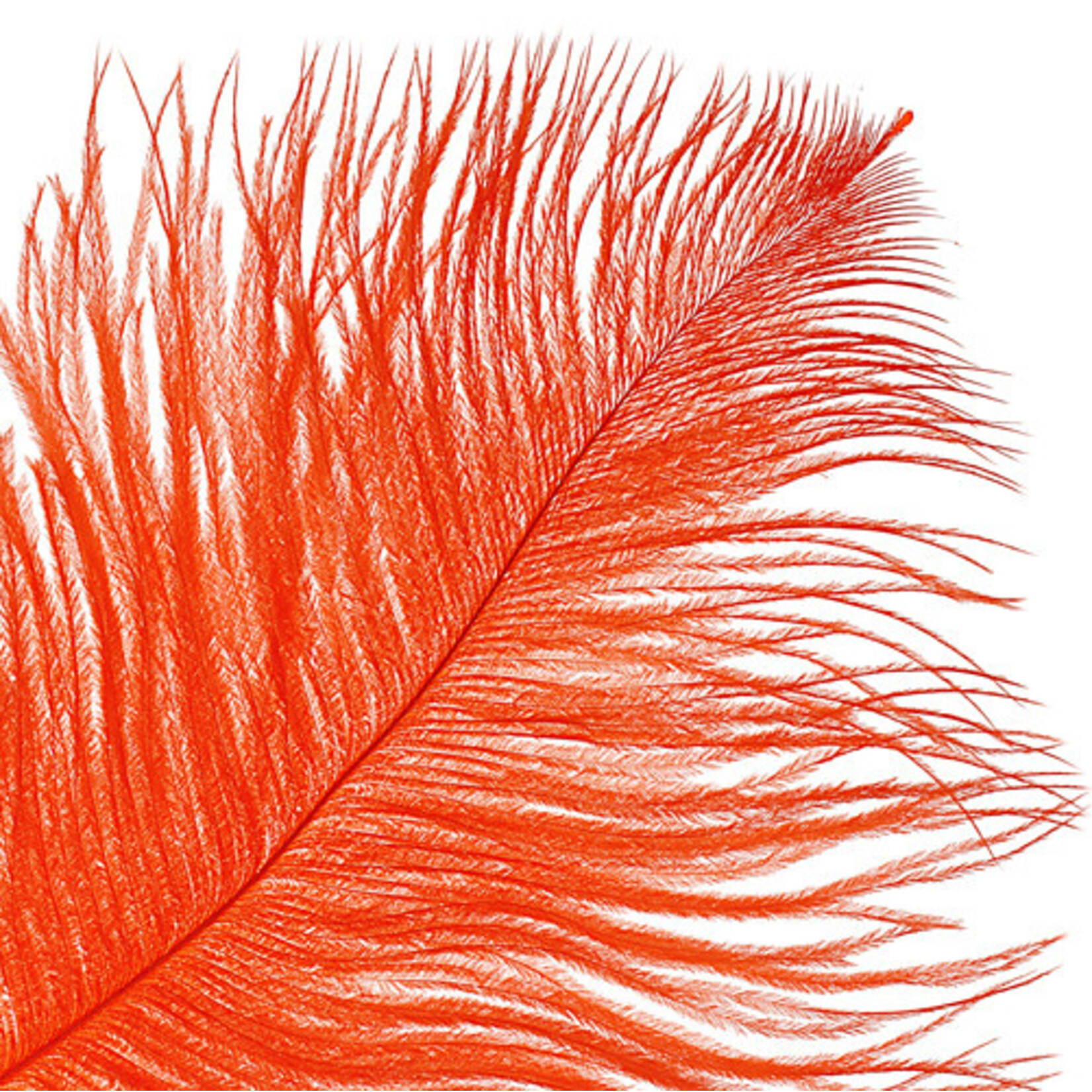 O.D Plumes 14-16 Inch Orange
