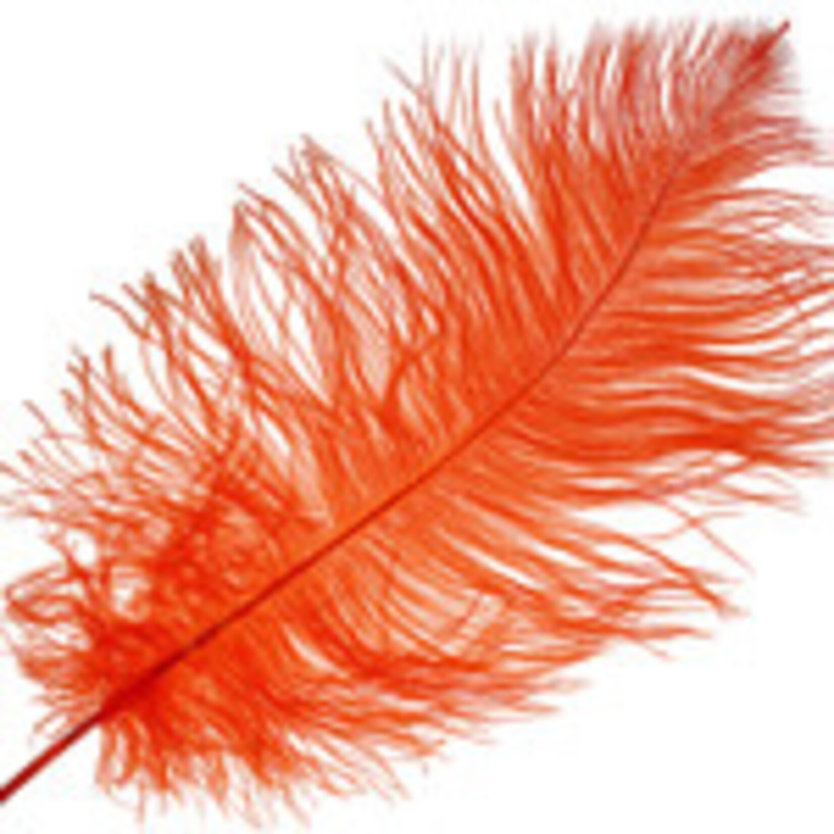 O.D Plumes 14-16 Inch Orange