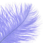 O.D Plumes 14-16 Inch Lilac