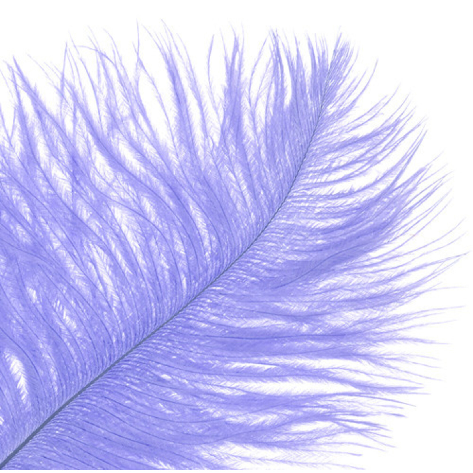 O.D Plumes 14-16 Inch Lilac