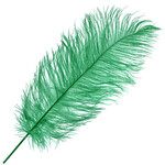 O.D Plumes 14-16 Inch Emerald Green