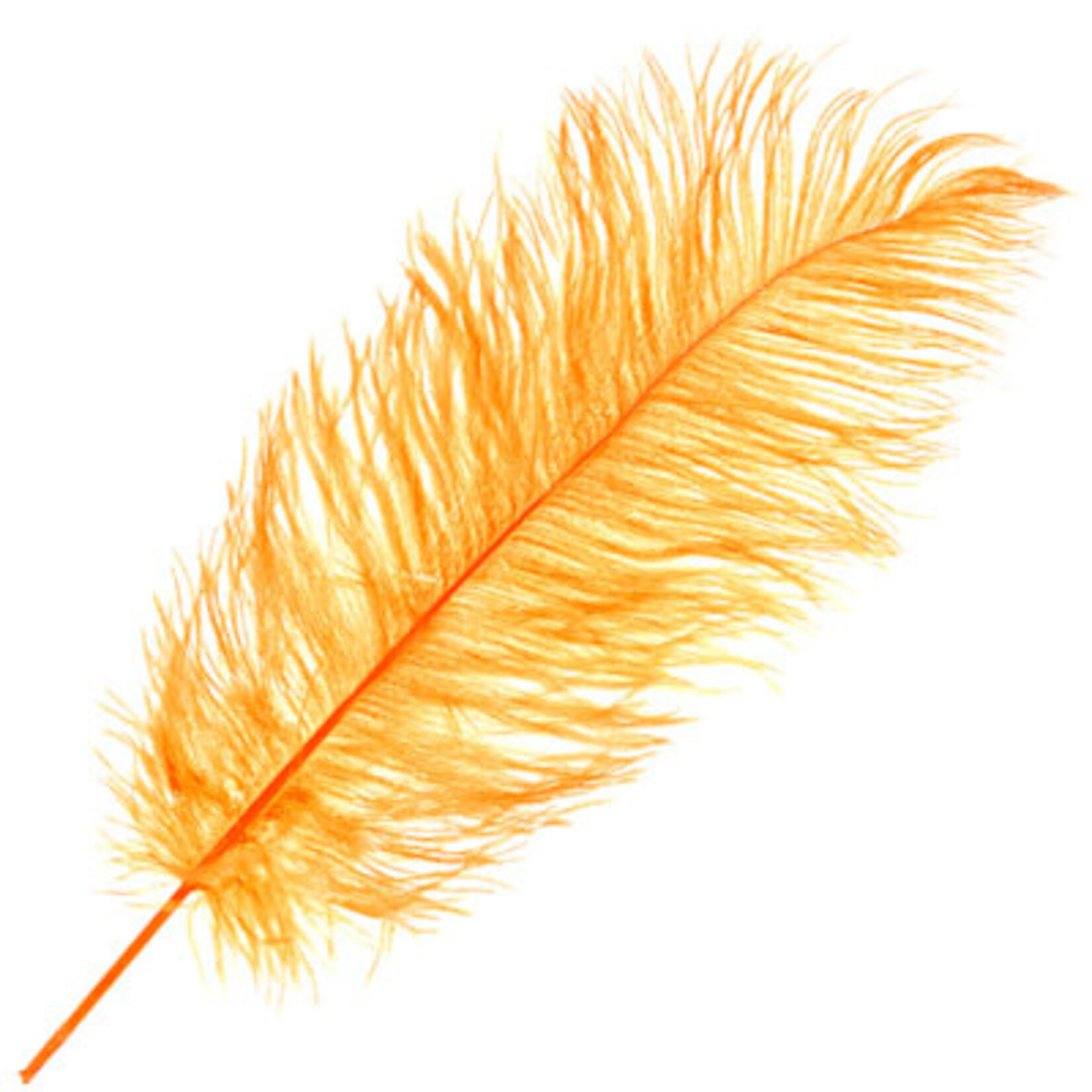 O.D Plumes 14-16 Inch Golden Yellow