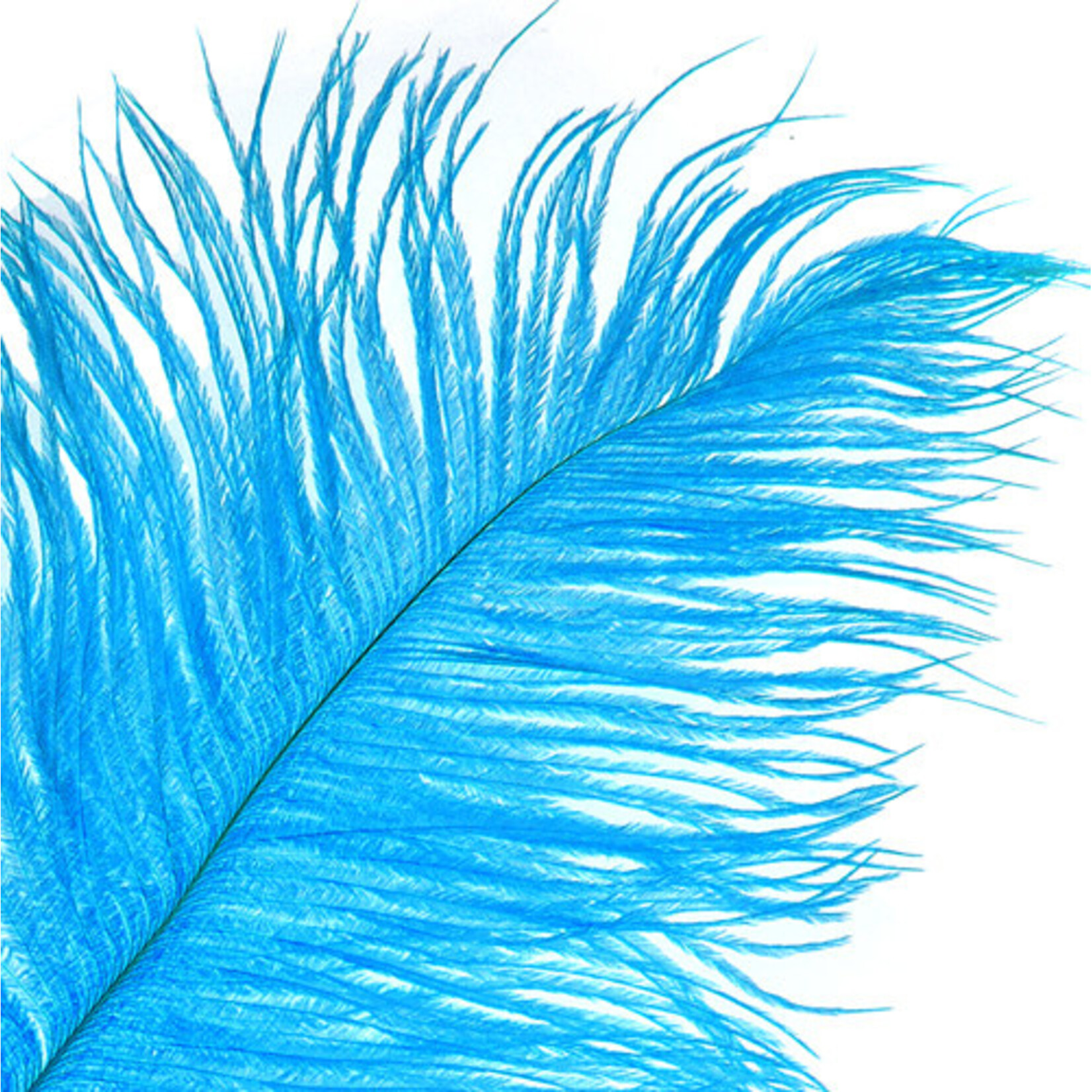 O.D Plumes 14-16 Inch Turquoise