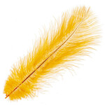 O.D Plumes 14-16 Inch Pumpkin