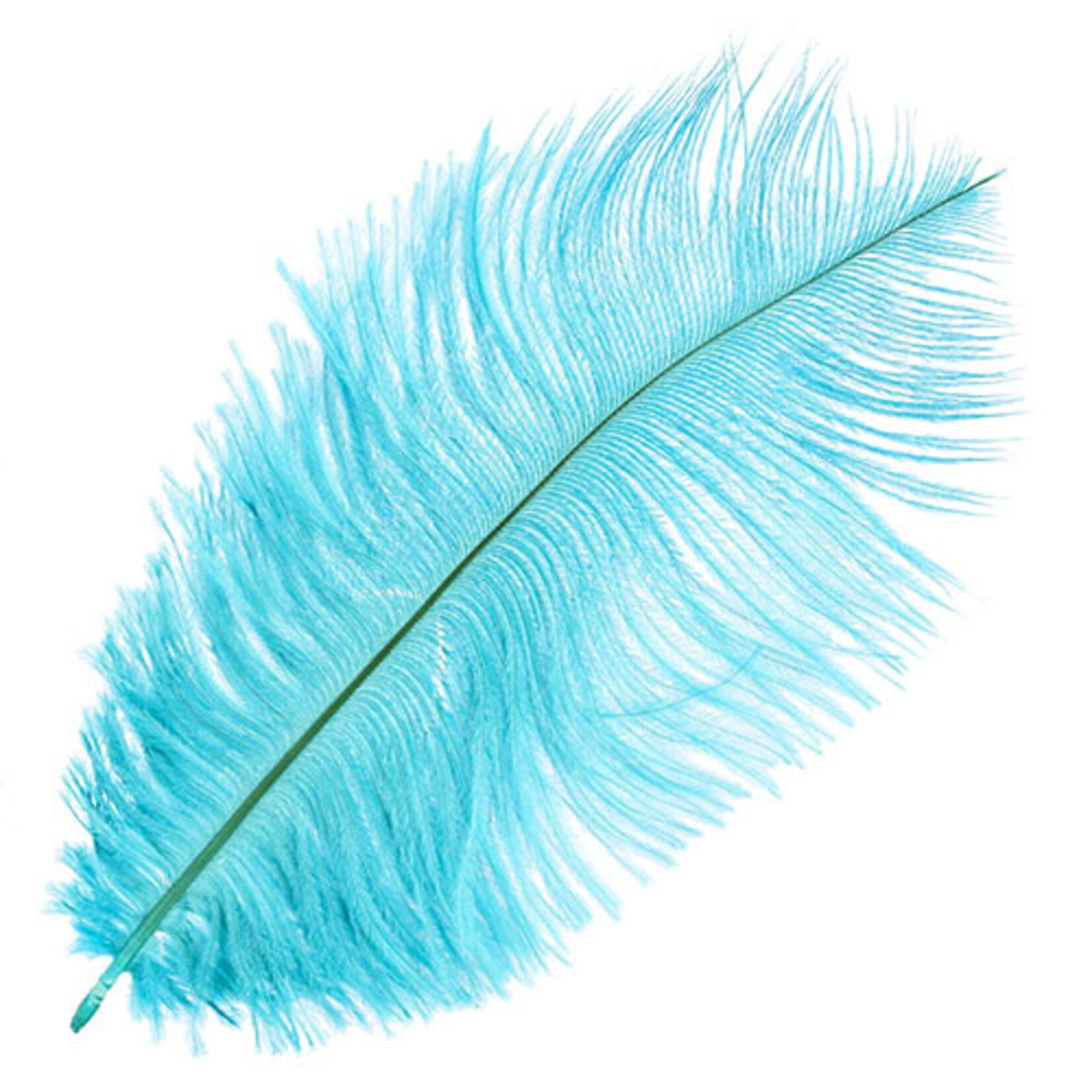 O.D Plumes 14-16 Inch Aqua Blue