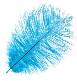 O.D Plumes 14-16 Inch Electric Blue
