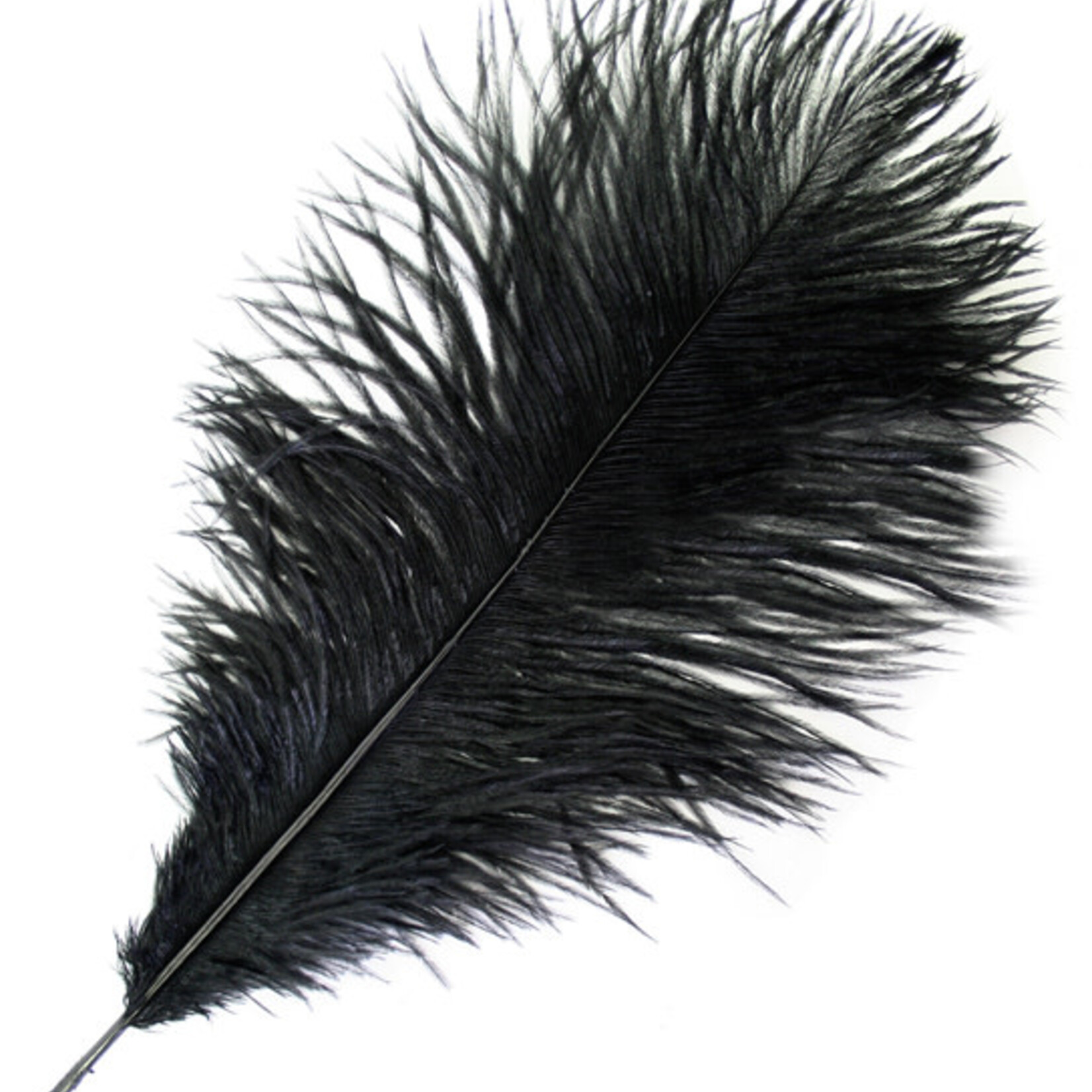 Ostrich Drab Plumes 6-8 Inch (12 pieces) Black