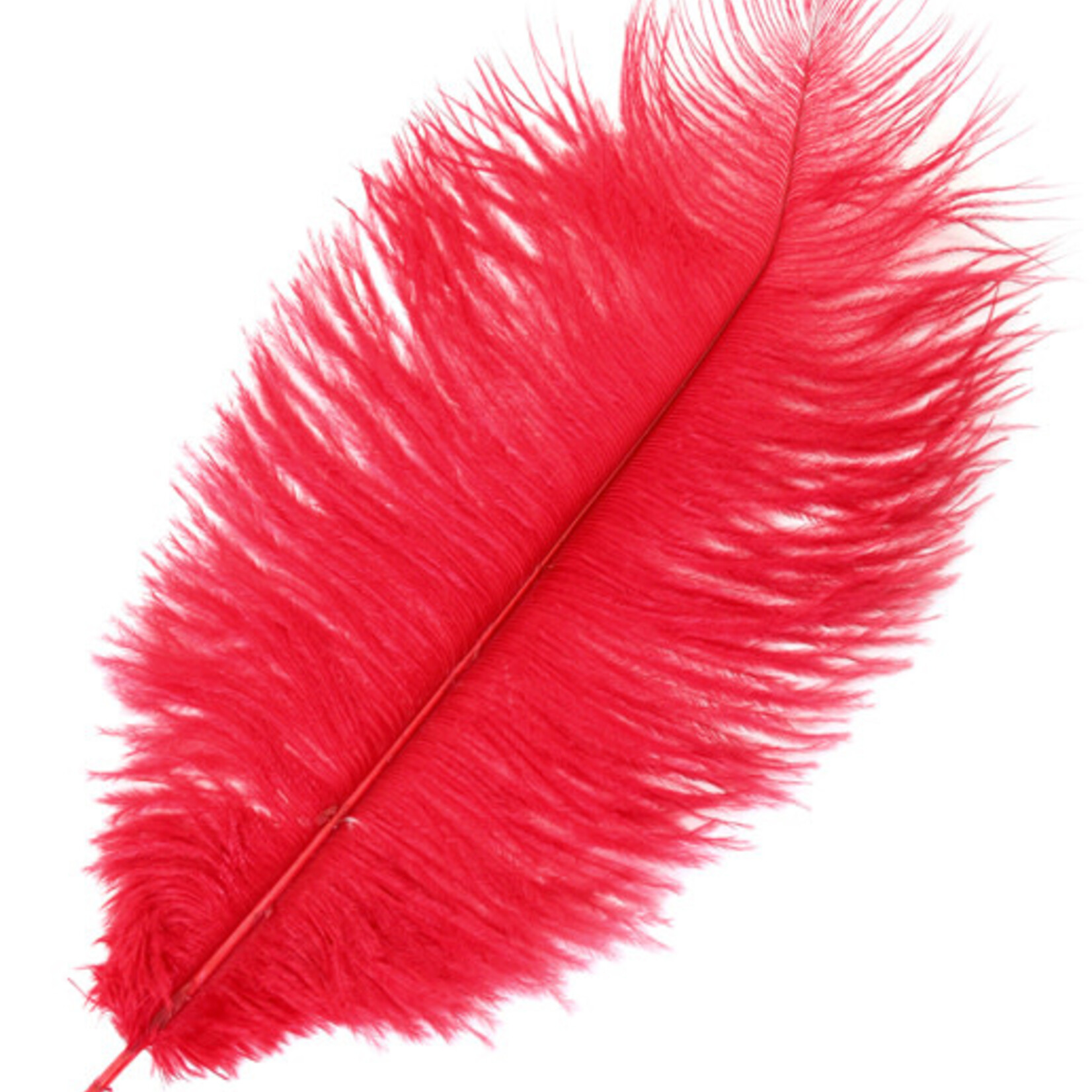 Ostrich Drab Plumes 6-8 Inch (12 pieces) Red