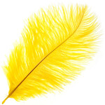 Ostrich Drab Plumes 6-8 Inch (12 pieces) Canary Yellow