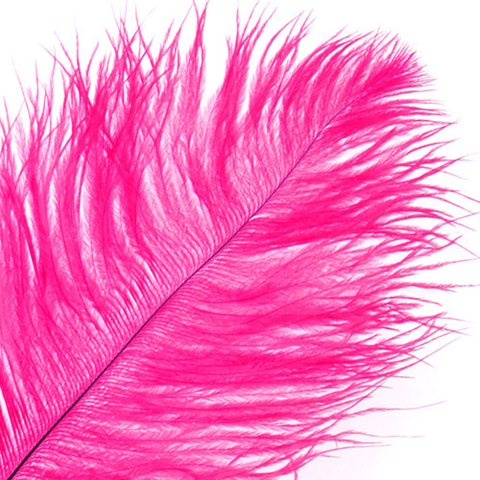 Ostrich Drab Plumes 6-8 Inch (12 pieces) Hot Pink