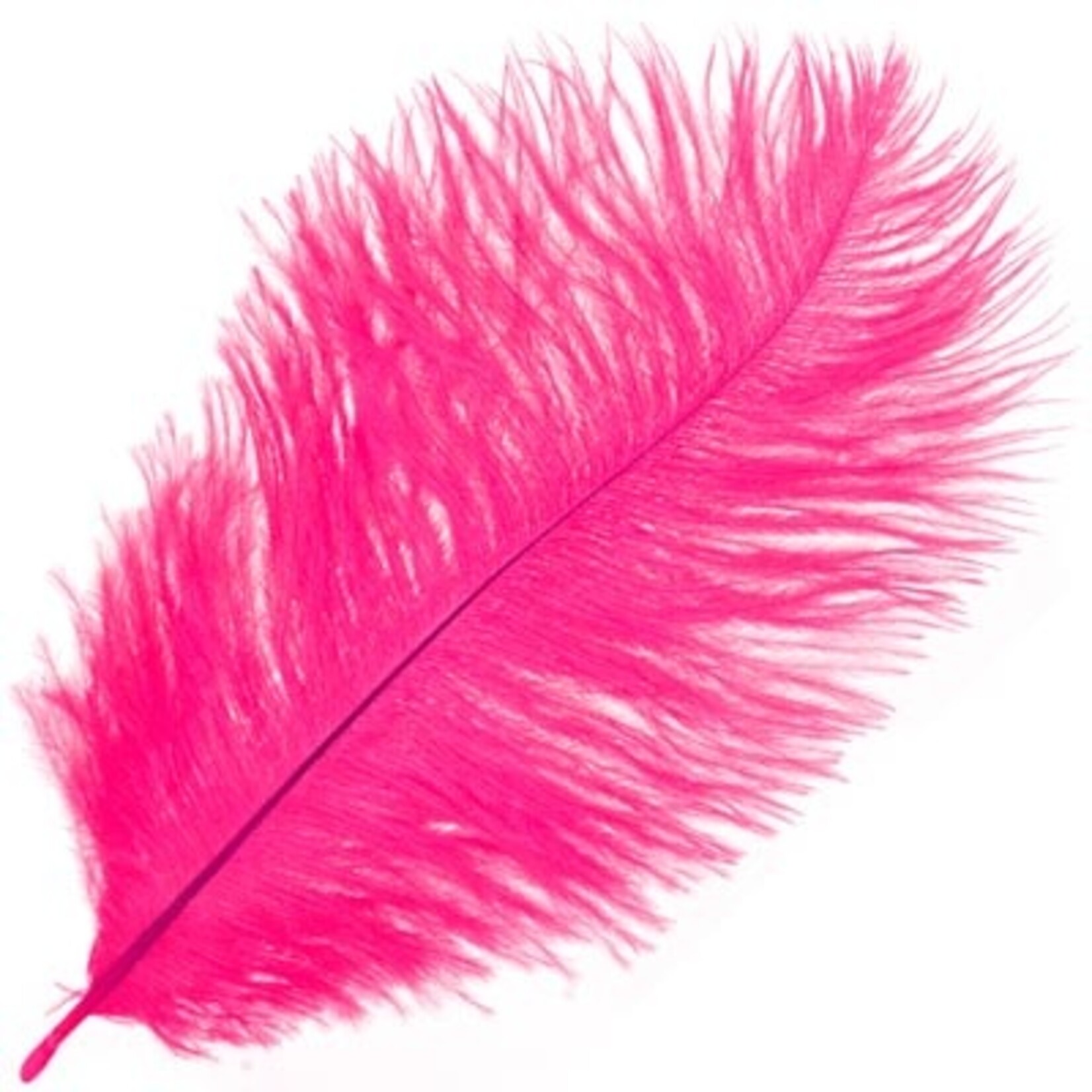 Ostrich Drab Plumes 6-8 Inch (12 pieces) Hot Pink