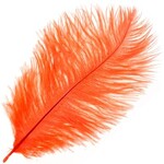 Ostrich Drab Plumes 6-8 Inch (12 pieces) Orange