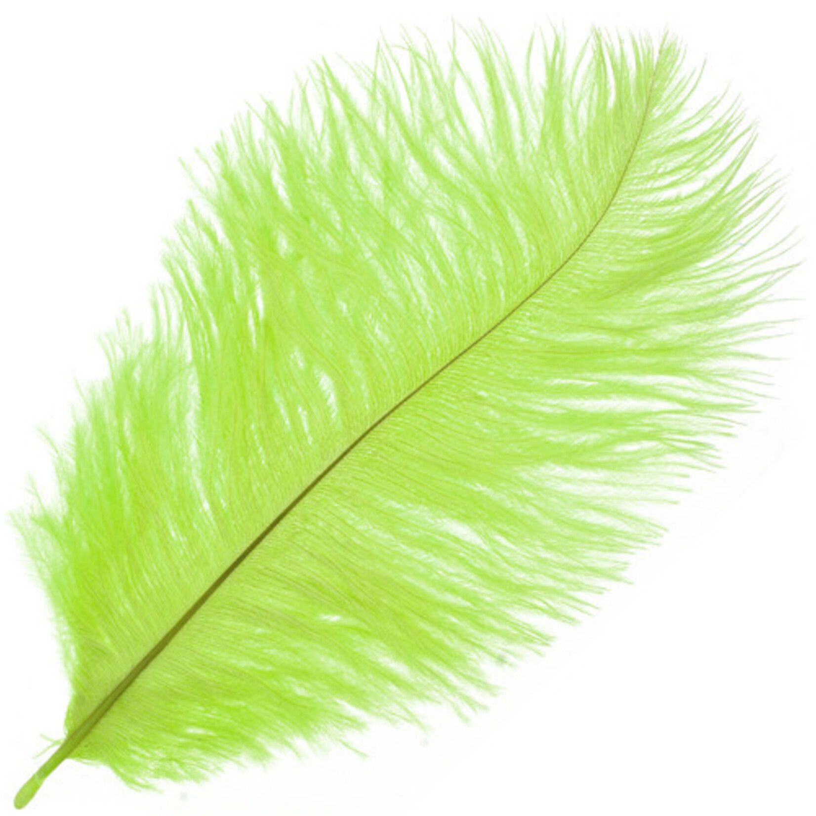Ostrich Drab Plumes 6-8 Inch (12 pieces) Lime Green