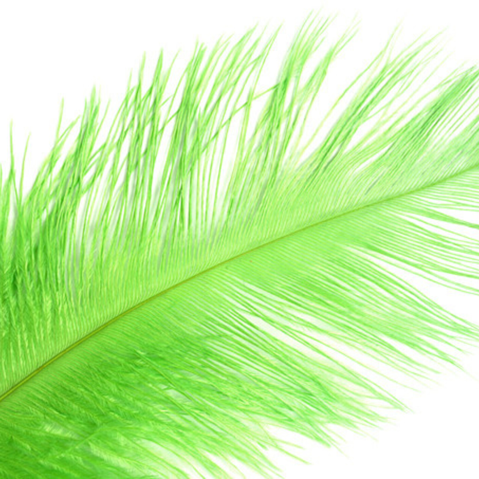 Ostrich Drab Plumes 6-8 Inch (12 pieces) Lime Green