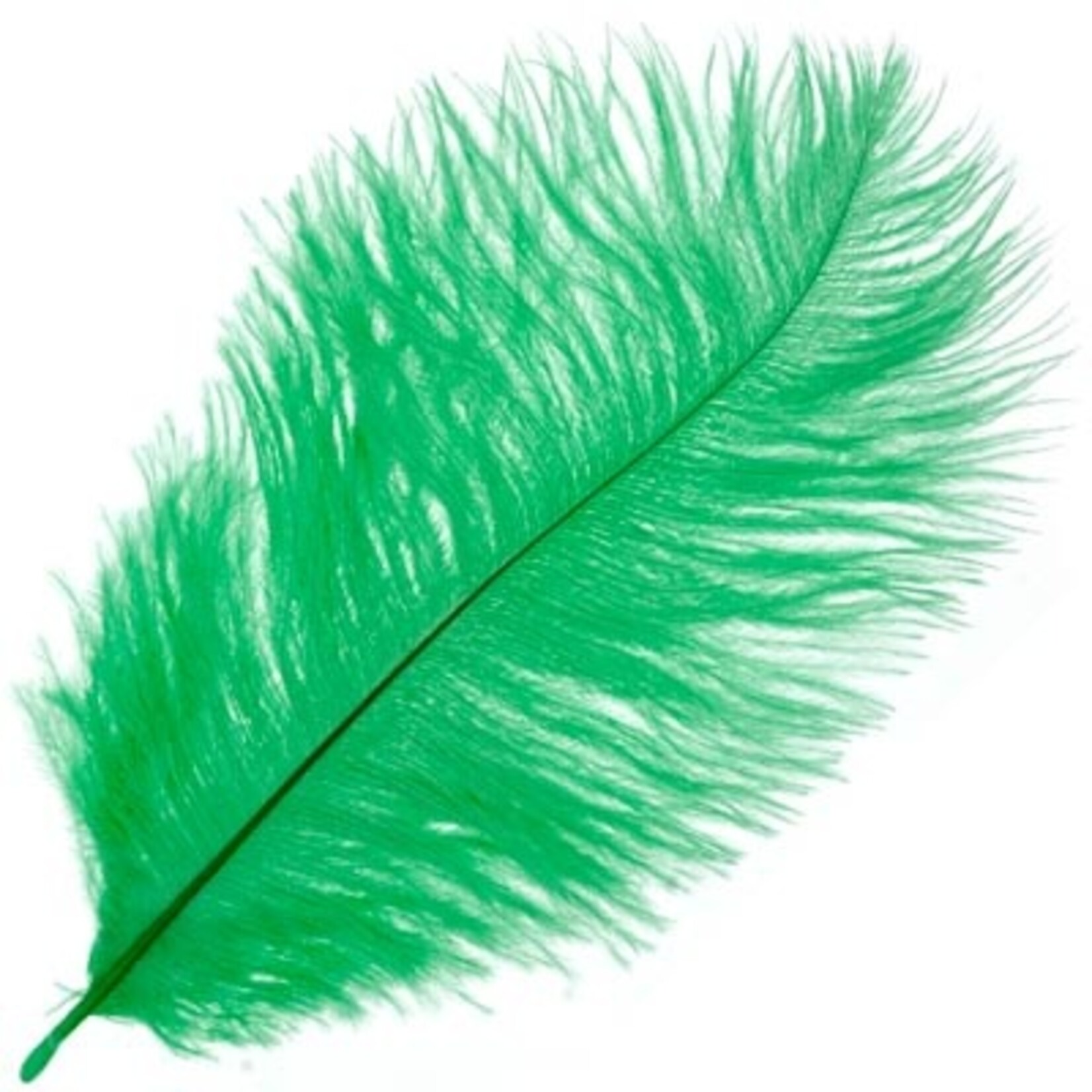 Ostrich Drab Plumes 6-8 Inch (12 pieces) Emerald Green
