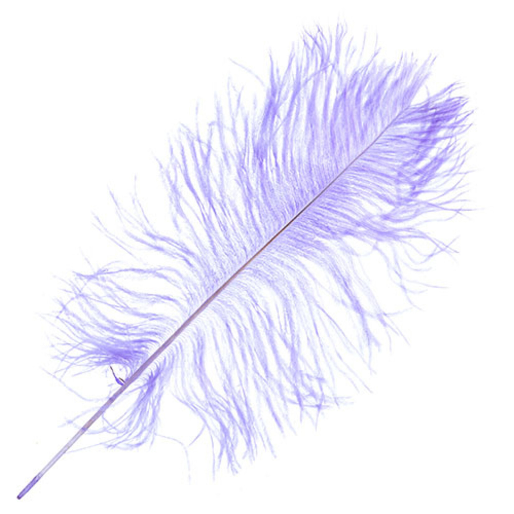 Ostrich Drab Plumes 6-8 Inch (12 pieces) Lilac