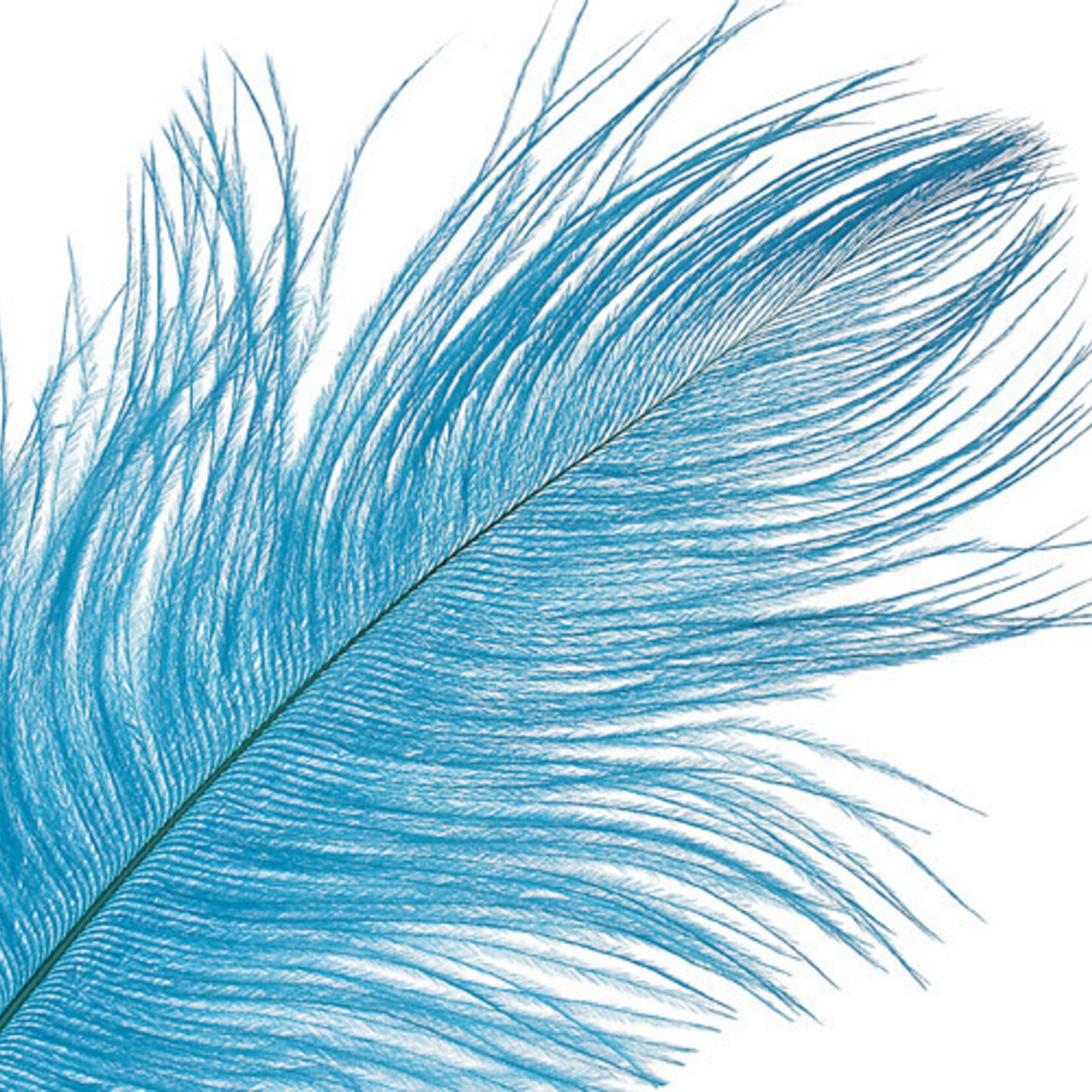 Ostrich Drab Plumes 6-8 Inch (12 pieces) Turquoise
