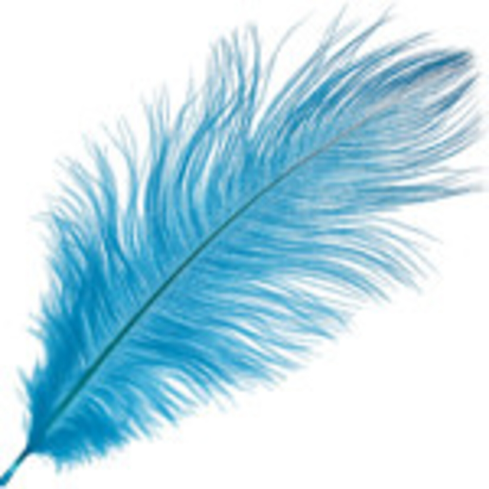 Ostrich Drab Plumes 6-8 Inch (12 pieces) Turquoise