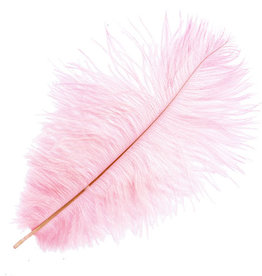 Ostrich Drab Plumes 6-8 Inch (12 pieces) Cotton Candy