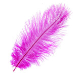 Ostrich Drab Plumes 6-8 Inch (12 pieces) Fuchsia