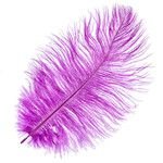 Ostrich Drab Plumes 6-8 Inch (12 pieces) Plum
