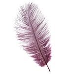 Ostrich Drab Plumes 6-8 Inch (12 pieces) Eggplant