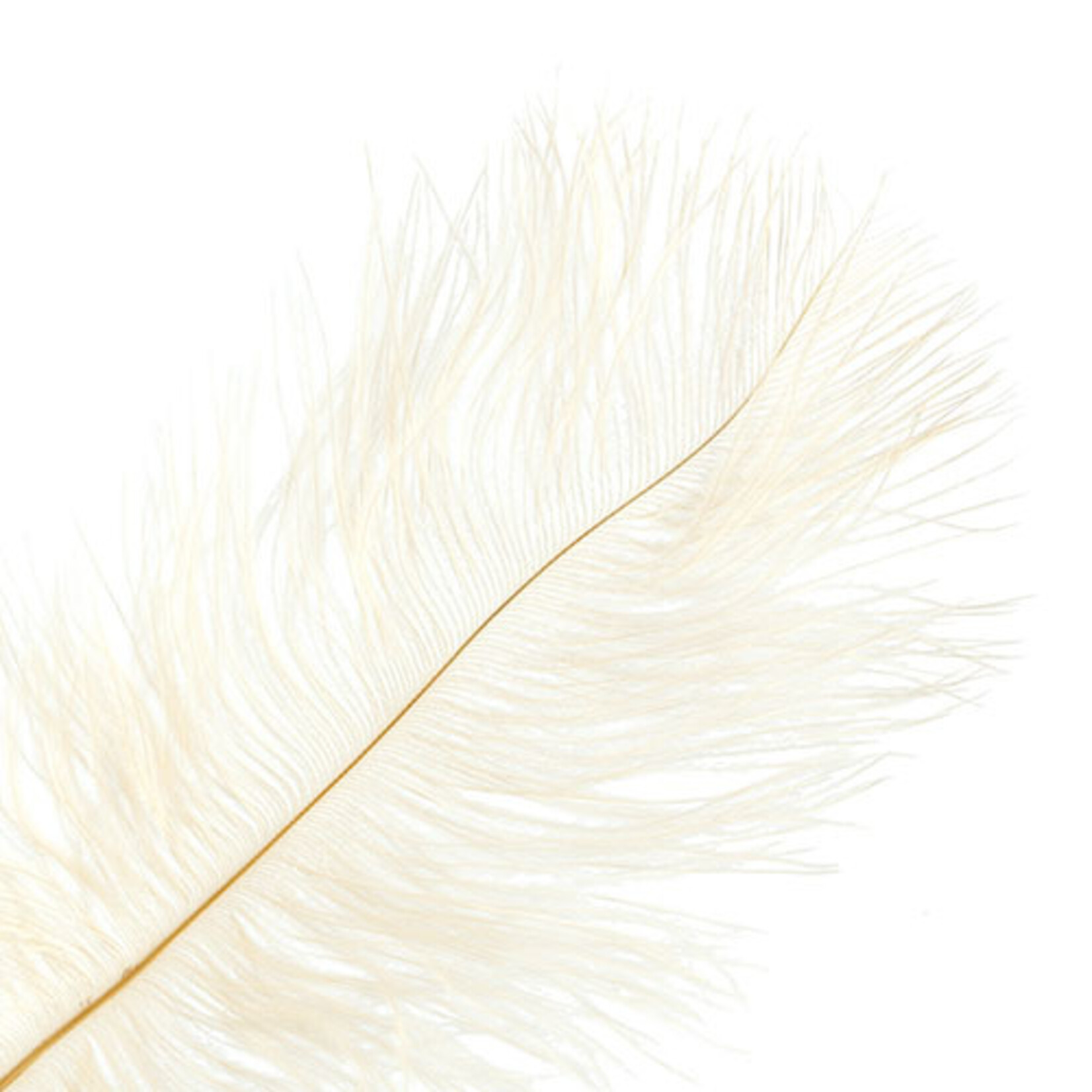 Ostrich Drab Plumes 6-8 Inch (12 pieces) Beige