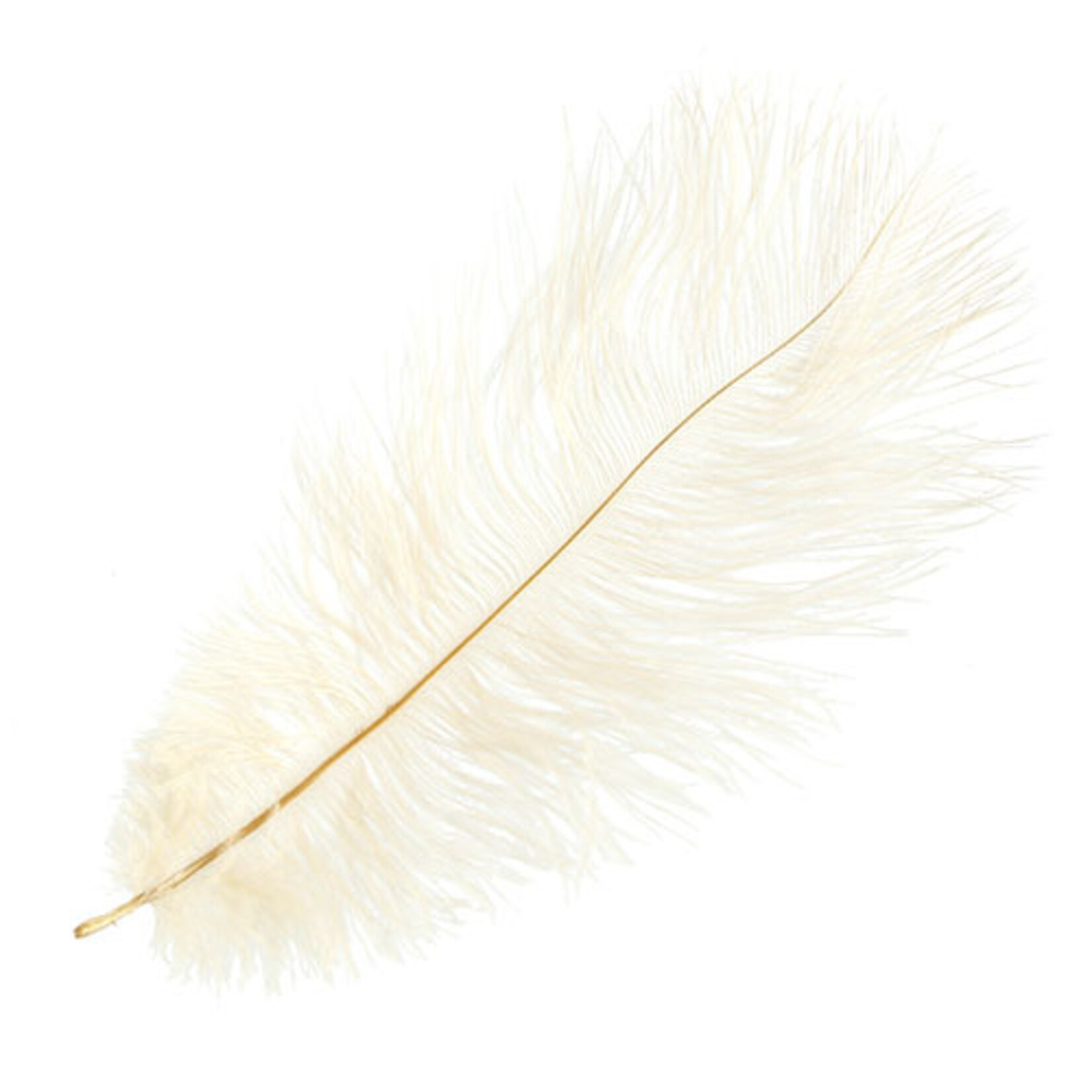 Ostrich Drab Plumes 6-8 Inch (12 pieces) Beige