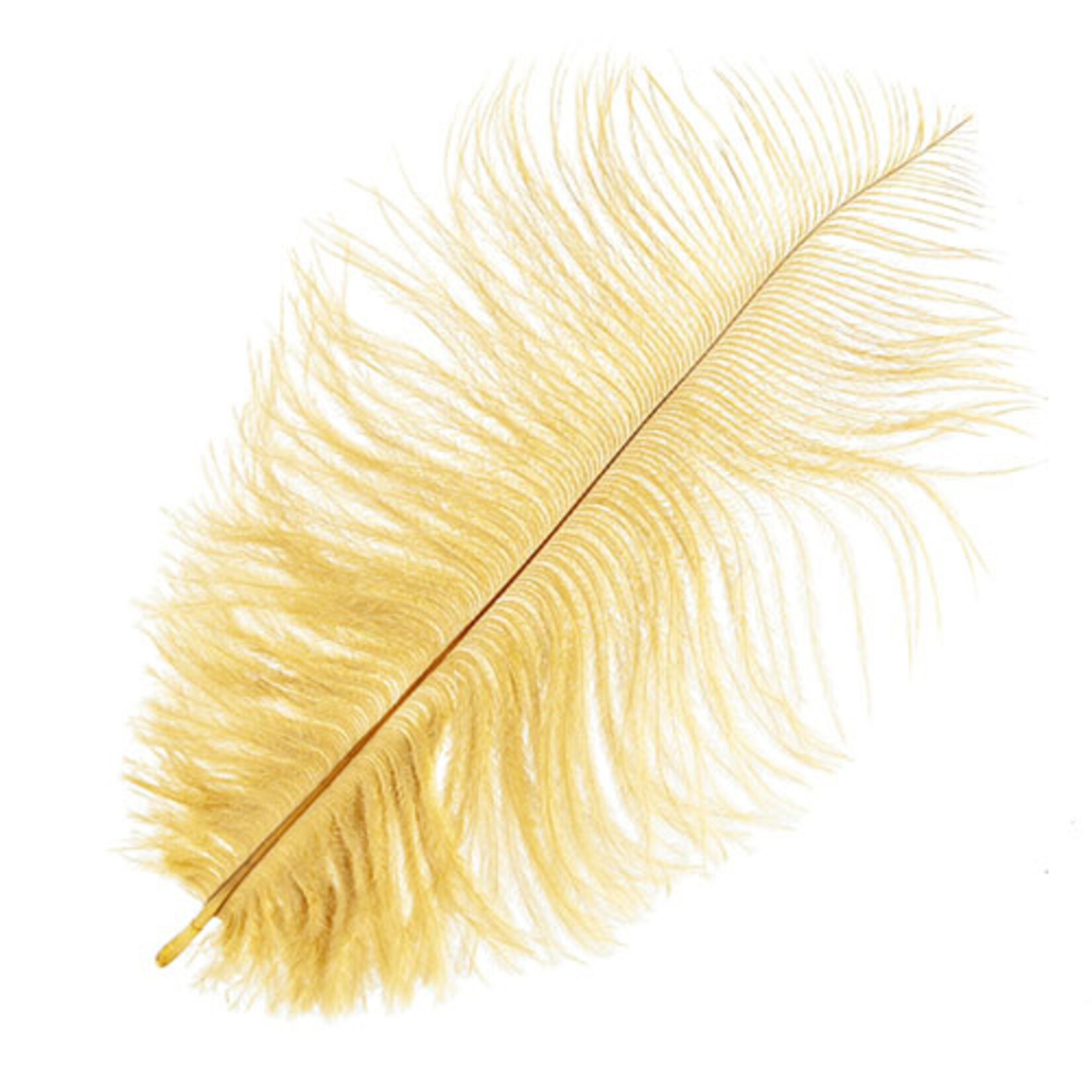 Ostrich Drab Plumes 6-8 Inch (12 pieces) Gold