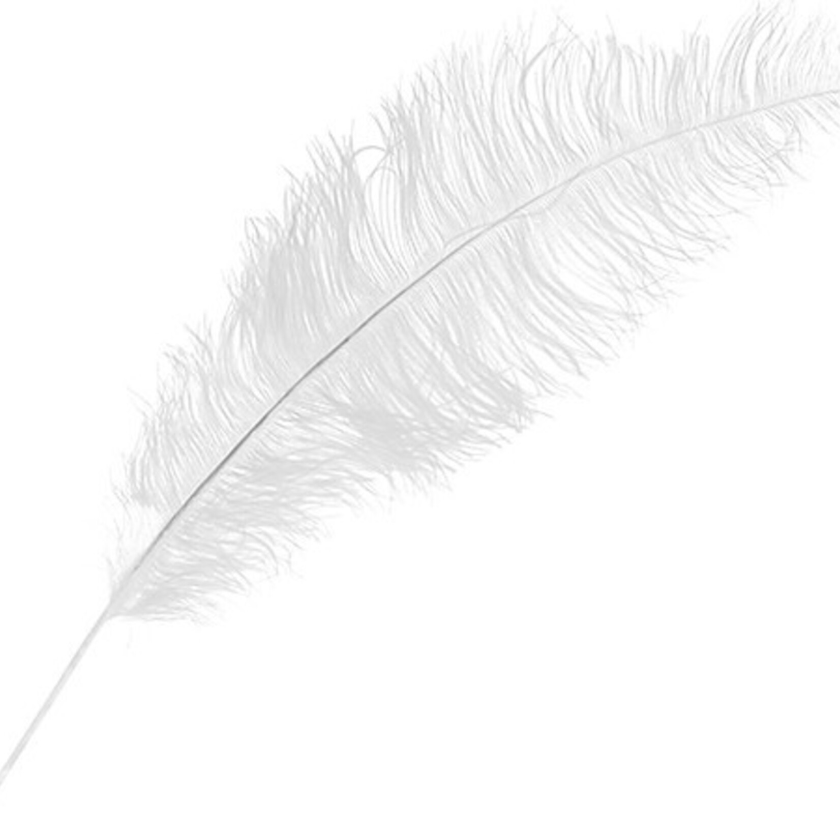 O.D Plumes 27-28 Inch White