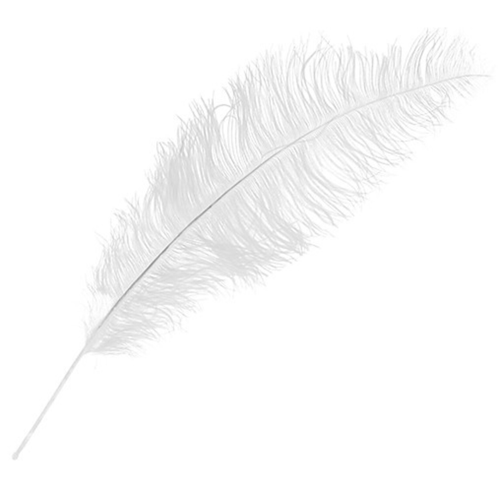 O.D Plumes 27-28 Inch White