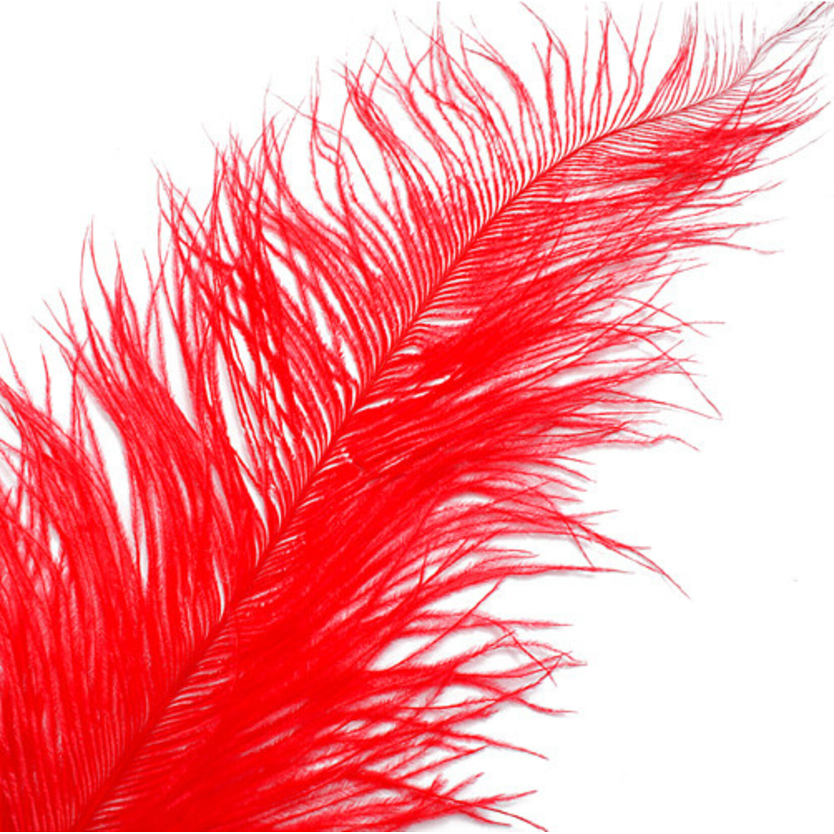 O.D Plumes 27-28 Inch Red