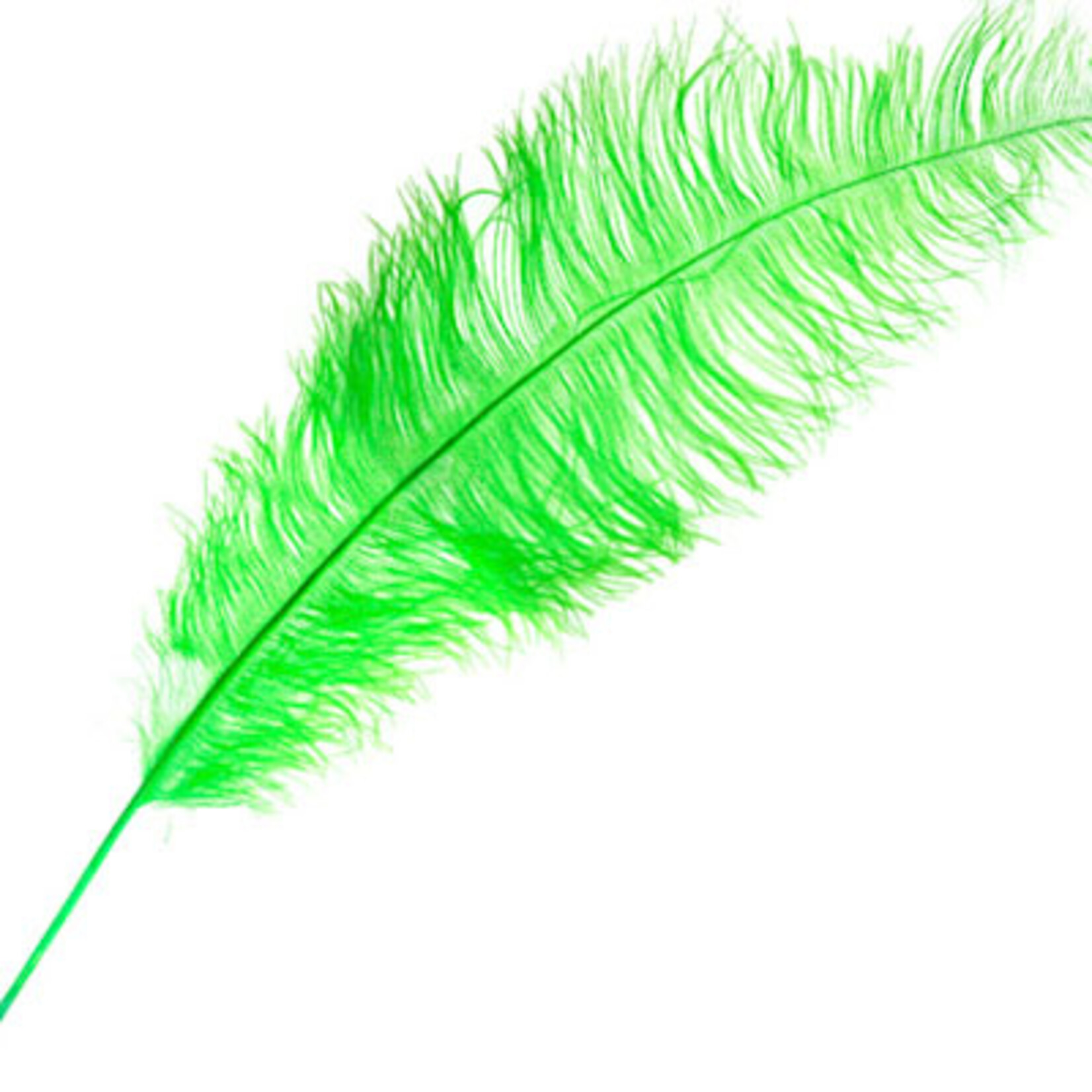 O.D Plumes 27-28 Inch Lime Green