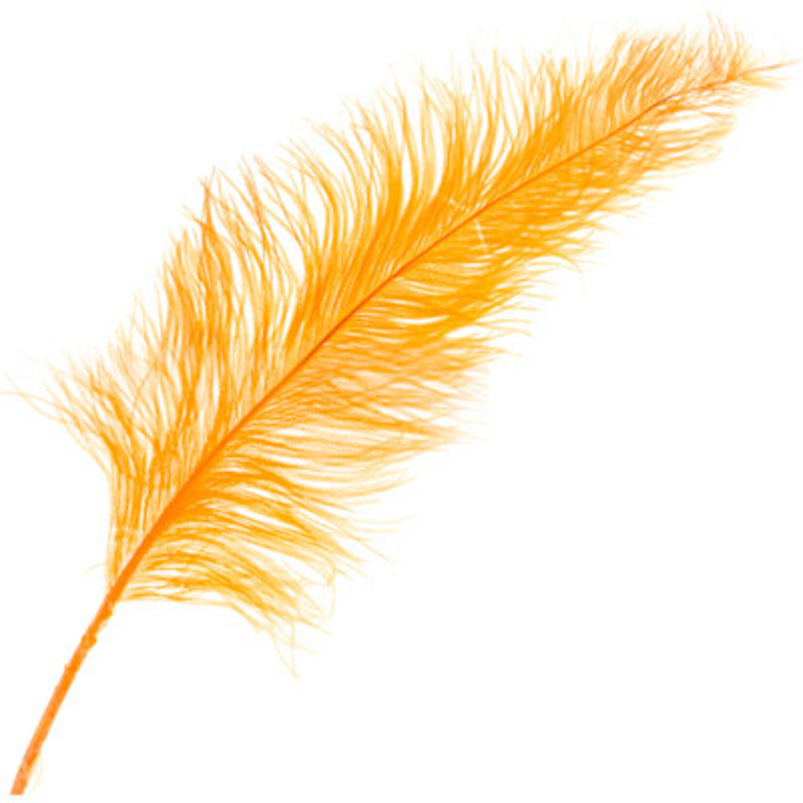 O.D Plumes 27-28 Inch Golden Yellow