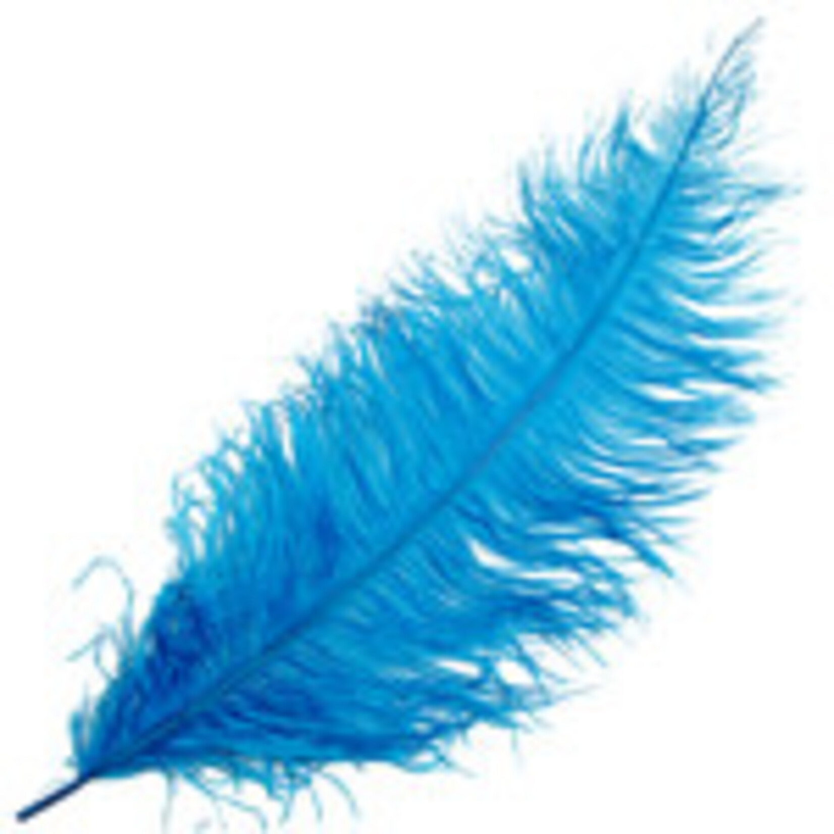 O.D Plumes 27-28 Inch Turquoise