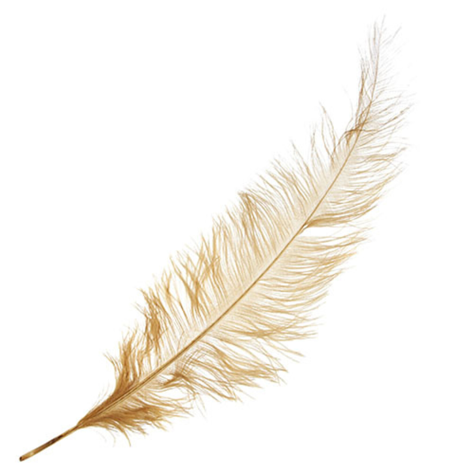 O.D Plumes 27-28 Inch Gold
