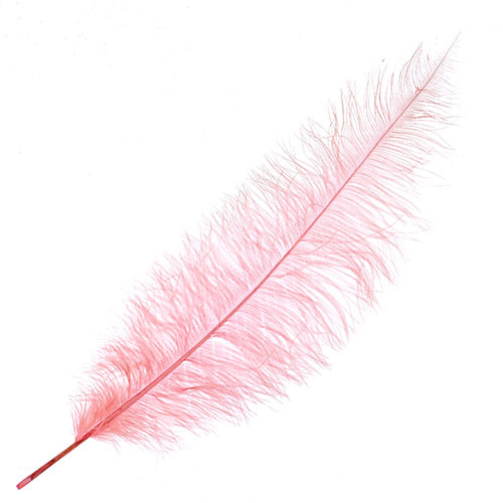 O.D Plumes 27-28 Inch Coral