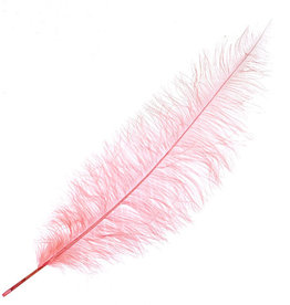 O.D Plumes 27-28 Inch Coral