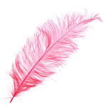 O.D Plumes 27-28 Inch Dark Coral