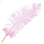 O.D Plumes 27-28 Inch Cotton Candy