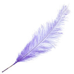 O.D Plumes 27-28 Inch Violet