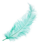 O.D Plumes 27-28 Inch Jade