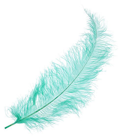 O.D Plumes 27-28 Inch Jade