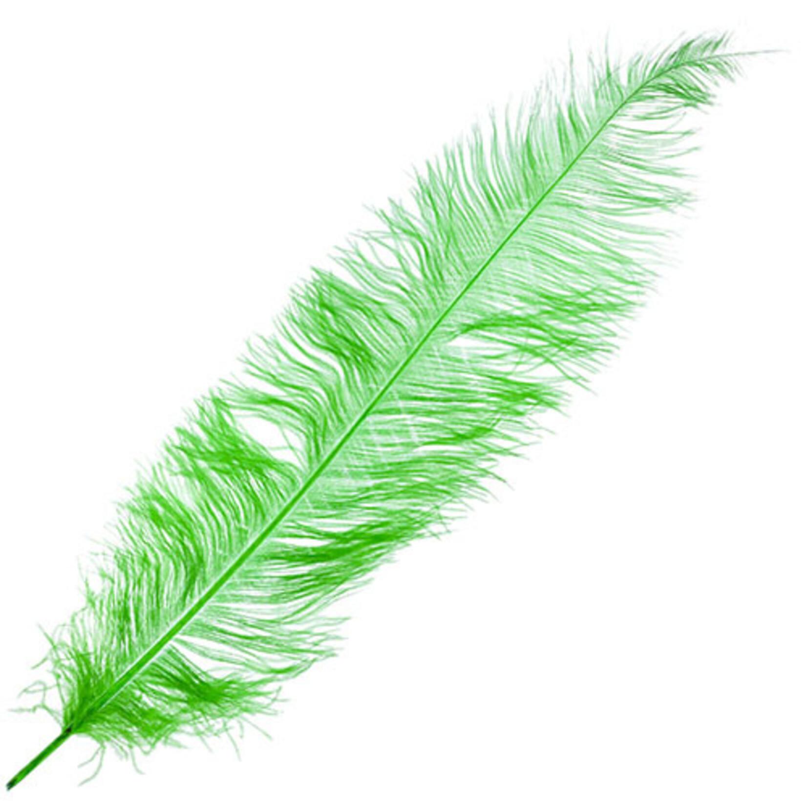 O.D Plumes 27-28 Inch Kelly Green